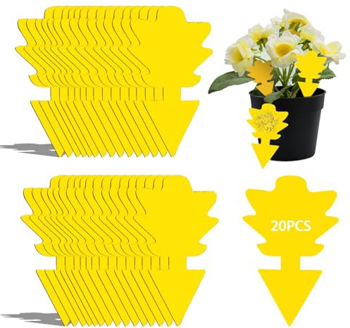 Trappole Scarafaggi,e Formiche,Trappole per Scarafaggi,Cattura Insetti Atossico e Insapore,per Casa,Cucina, Soggiorno,Bagno,Ufficio,Proteggere Bambini e Animali Domestici Anti Blatte (10, Verde)