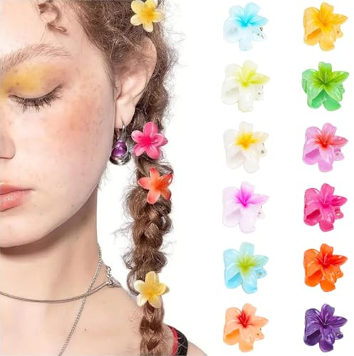 DIFLAX 12 Stück Blumen Haarklammer, Klein Haarspange, Blume Haarklammer, Blumenhaarklammer, Mini Blumen Haarklammern, Blumenklammern Haare für Frauen, Mädchen, Mittleres und Dünnes Haarstyling Zubehör