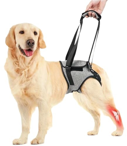 TENGWA Arnes Perro Patas Traseras Arnés De Elevación Ajustable Arnes Perro Grande Gris 10-20 Kg Arness Perros Ideal para La Rehabilitación De Perros Mayores Lesionados y Discapacitados