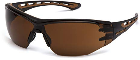 Carhartt Easley Anti-Fog Safety Glasses