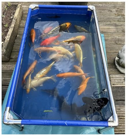 Großer Fischteich aus PVC – Flexibles Aquarium mit Fenster, Edelstahlrahmen, einfache Montage, idealer Haltetank für Koi, Goldfische und Schildkröten (50 x 40 x 30 cm)