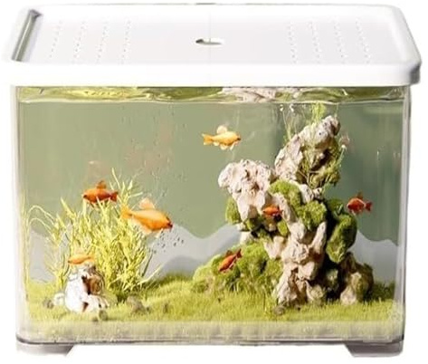CSYQPDMBDL Kugelaquarium, Goldfischglas, Fischschale, kleines Wohnzimmer, Desktop-Fischbecken mit Deckel