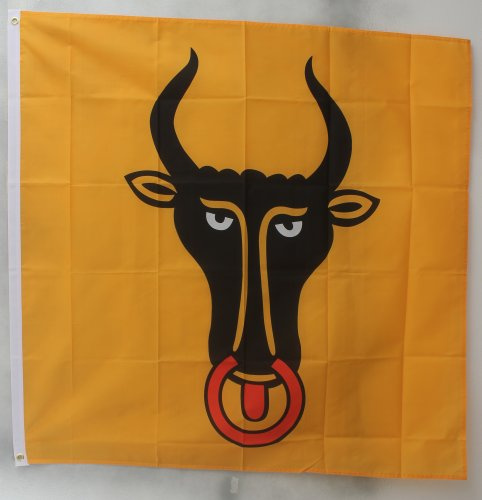 Buddel-Bini Flagge Fahne ca. 90x150 cm : Uri Kanton Uriflagge Schweiz
