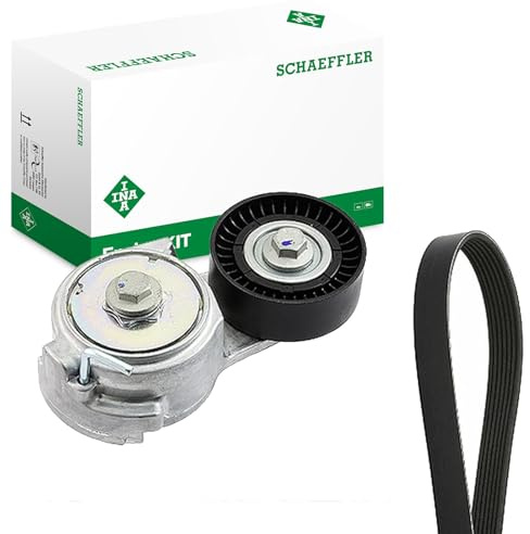INA Kit Cinghie Poly-V 529 0013 10 1148mm Compatibilità con FIAT 500 312 PANDA 169 GRANDE PUNTO 199, ALFA ROMEO GIULIETTA 940