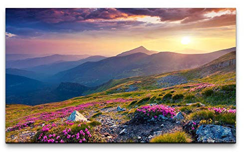 Bilder XXL Landschaft mit Blumen 120x70cm Wandbild auf Leinwand