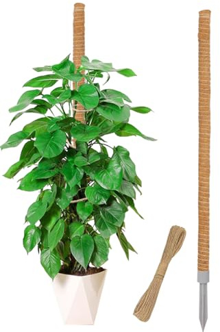 LEMGUBKP 55 Inch Moss Pole, Bendable Moss Pole for Plants Monstera, Moss Poles for Climbing Plants Indoor, Coir Plant Pole Sticks Support Stakes for Potted Plant