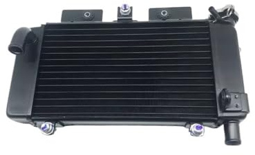 Depósito de expansión para motocicleta resistente al calor Para CF para MOTO 250SR accesorios de motocicleta agua para tanque para montaje radiador refrigerante anticongelante para