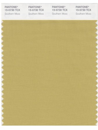 PANTONE Smart 15-0730X Color Swatch Card, Southern Moss