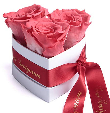 Infinity Rosenbox Herz - 3 echte ewige Rosen in Korall-Rot konserviert haltbar 3 Jahre 10x12cm - Seni Seviyorum hediye Geschenke für Frauen Rosemarie Schulz Heidelberg (Seni Seviyorum, Korall)