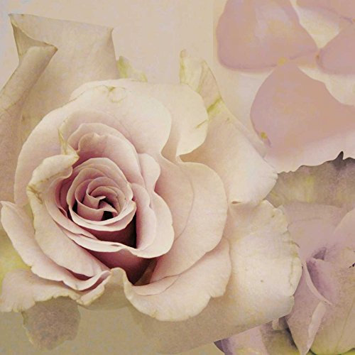 Kunstdruck auf Holz, Motiv: Rose, Lara, Skinner, Blumenmuster, quadratisch, Blumenmuster, 58 x 58 cm