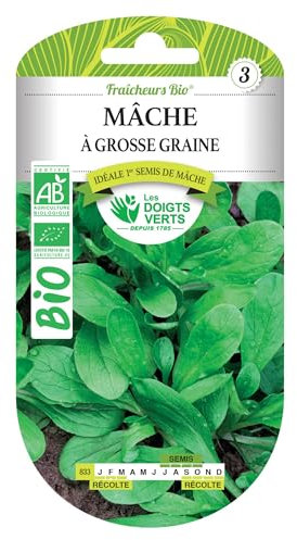 Graines de mâche à grosse graine BIO Les Doigts Verts
