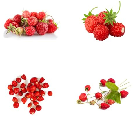 semillas de fresa silvestre orgánicas columnares comprar fresas silvestres fresca, resistentes para balcones, interior 200pcs