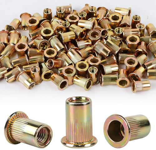 YIYICO Rivetti Filettati Rivetto Filettato Rivet Nut M6 100Pz Dadi Rivettati Kit Acciaio al Carbonio Zincato Rivetto a Testa Piatta