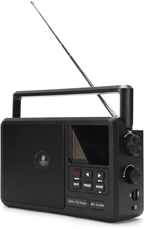 VBESTLIFE Radio FM Dab Portable avec Haut-Parleur Bluetooth, Mini Radio Rechargeable avec écran LED et Prise Casque, Format de Poche avec Ordinateur de Poche (Prise UE 220V)