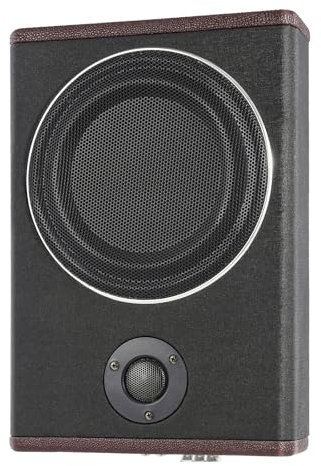 Kanbihao Subwoofer Auto Amplificato, 8 pollici subwoofer attivo da 600 W, con schermatura dell'altoparlante e chiusura in velcro nella parte inferiore per furgoni, jeep, SUV, auto sportive, ecc