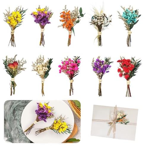 RHQFDM 10 Pieces Small Dried Flowers,Natural Dried Flower Decorations,Dried Flower Craft Set,Dried Flowers for Small Vase,for Table,Diary and Photo Album Decoration