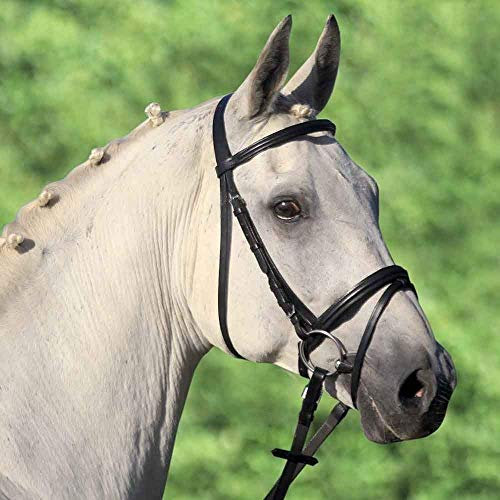 WALDHAUSEN Star Trensenzaum Lifestyle