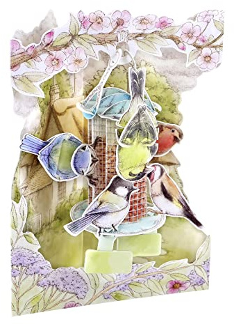 Santoro Swing Card 3D Pop-Up-Grußkarte – Gartenvögel – für Mama, Geburtstag, Muttertag