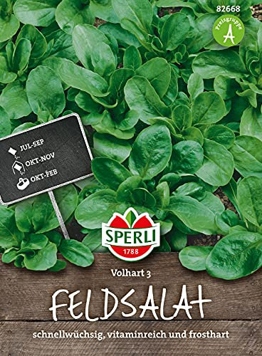 82668 Sperli Premium Feldsalat Samen Vollhart 3 | Extra Frosthart | Ertragreich | Feldsalat Saatgut | Salat Saatgut
