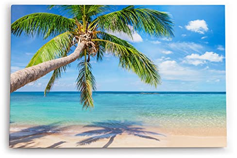 Paul Sinus Wandbild 120x80cm Traumstrand Palme Sonnenschein Sommer Meer