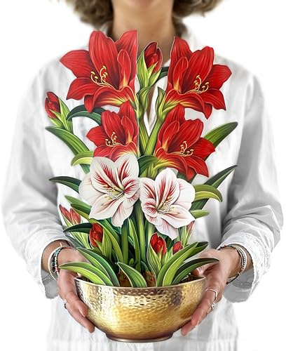 Freshcut Paper Pop Up Cards, Scarlet Amaryllis, 16 Inch Life Sized Forever Flower Bouquet 3D Popup Greeting Cards, Christmas Card, Holiday Card, Blank Notecard & Envelope