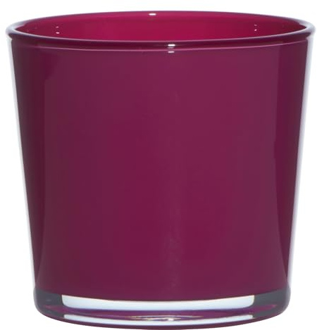 Glas-Kübel - Dekorative Vasen und Kerzenhalter im 6er-Pack (Magenta, ⌀ 11,5 cm H: 11 cm)