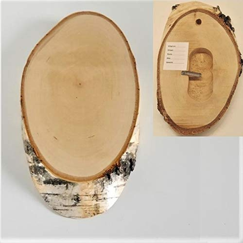 Birke Schild Trophäenschild Reh Rehbock Geweih Baumscheibe Baumschild Natur Holz modern mit Kieferfach