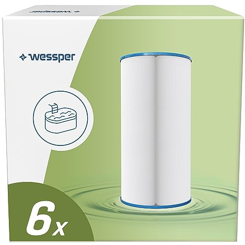 Wessper POOL Typ A Ersatz Pool Filterkartusche für Typ A, Poolpumpen Kompatibel mit Intex 2006, 3785, 4542 und 5678 Liter pro Stunde Pools, Fängt Schmutz - 6 Stück
