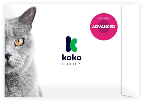Koko Genetics DNA Test for Cats Advanced - (+150 Reports of Breeds, Health and Traits) - Upgrades at no cost