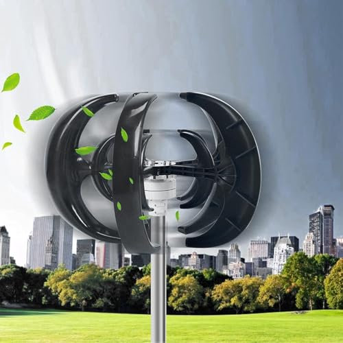 lwjunmm Aerogenerador Vertical 2000W 12V/24V Turbina Eólica Energía Libre Levitacion Magnetica Generador Viento Instalacion Eolica Domestica con Controlador,24v