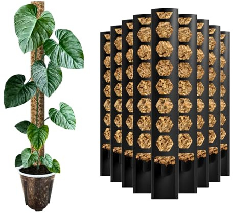 Nils der Växtfreund® mosspinne [PlantScraper] 20 cm (XS)/10 stycken/svart | växtstav | Moss Pole | Spaljstav | utbyggbar mossstång | mosspinnar | plantstolpe inomhus | mossstav monstera