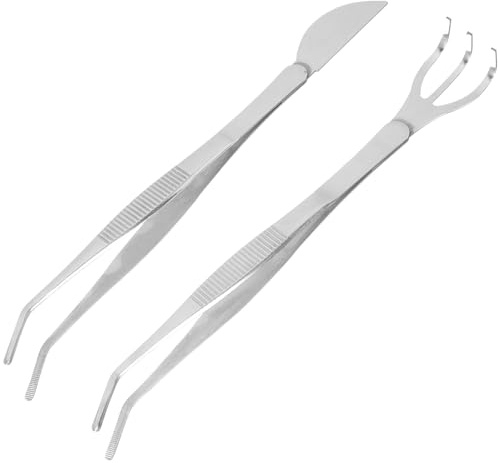 Hohopeti Pinces à Bonsaï en Acier Inoxydable et Râteau Incurvé Outils Professionnels pour Entretien de Mousse et Rempotage des Plantes d'Intérieur