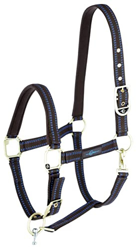 GOLEYGO Pferdehalfter System, braun/hellblau, Foal