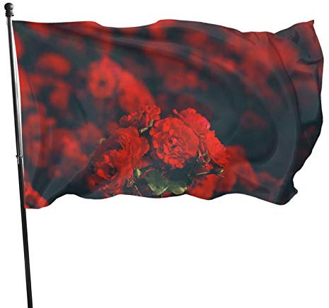 Flagge, 90 x 150 cm, dekoratives Banner, große Gartenflagge, rote Geranien-Blume, lustige Flagge, lebendige Farben, windwärts Flagge, Polyester, Hofflagge, saisonale Flagge für den Innen- und