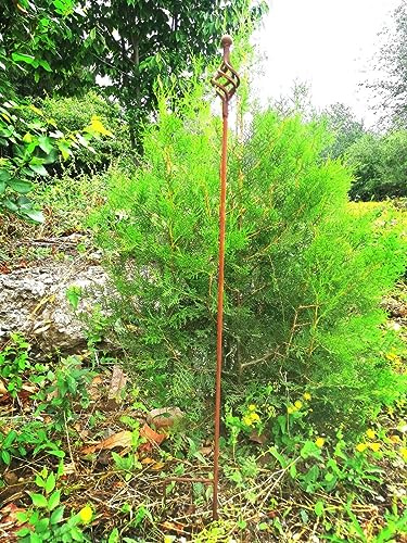 Edelrost Metall Stäbe Rankstab mit Schnörkeln Rost Rankhilfe Gartenstecker Rankstab (032198-1: B11 H100cm)