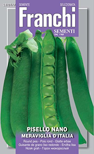 SEMI PISELLO NANO MERAVIGLIA D'ITALIA FRANCHI SEMENTI