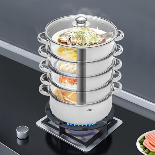 Vaporera de acero inoxidable de 5 niveles con tapa de cristal, recipiente para cocinar, vaporizador de acero inoxidable, multiusos para todo tipo de cocinas (28 cm)
