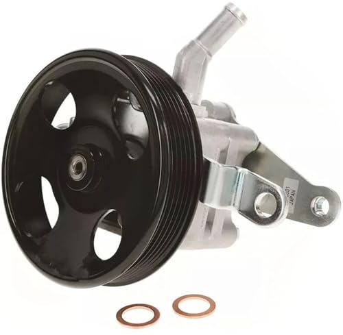 Pompa servo idraulica Per Nissan Per Altima 2.5L 2007-2013 49110ZX01B 49110-ZX01B 49110JA000 49110-JA02B Pompa Servosterzo