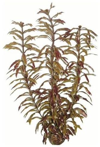 Superfish Easy Plant High 30cm (No 3)