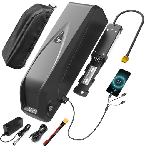 Batería Ebike 48V 20AH, Hailong Batería Bicicleta Electrica Litio para Motor 1500W 1200W 1000W 980W 750W 500W 350W 250W, con Puerto USB, Bolsa impermeable, Cargador y Célula Grado A (HL03-48V20AH)