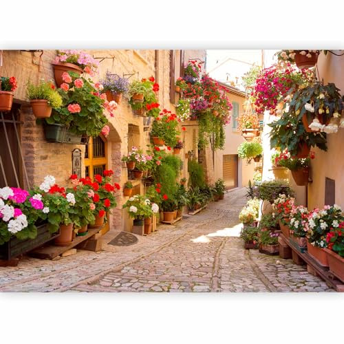 Fototapete murando 400x280 cm Vlies Tapeten Wandtapete XXL Moderne Wanddeko Design Wand Dekoration Wohnzimmer Schlafzimmer Büro Flur Italien Toskana Gasse Stadt Ziegel Blumen d-B-0136-a-a