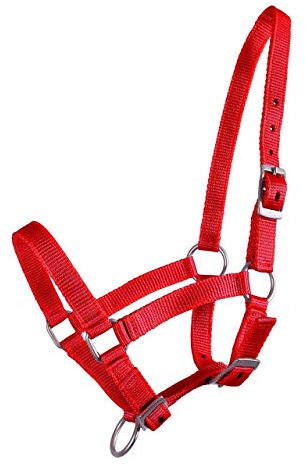 QHP Nylonhalfter Fohlen-Halfter 3fach verstellbar stark (Pony-Fohlen, Rot)