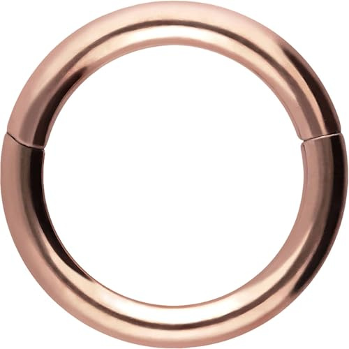 PIERCINGLINE Segmentring Clicker aus Chirurgenstahl - Piercing Ring in Gold, Silber, Rose, Schwarz oder Blau - für Nase, Septum, Ohr, Helix oder Tragus