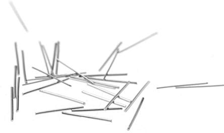 Épingles de Finition Pomcat Acier Inoxydable 304 Gobelet en Acier Broches pour Polisseuses Magnétiques (0.7mm* 1mm)