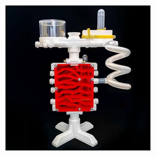 Ant Farm Castle 3D Printed Ant Farms Habitat Ant Colony for Kids, Adults, Student Acrylic Terrarium Nest with Connecting Tubes for Ant Behavior Study and Educational & Learning Science Viewing Kit