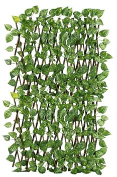 BIANCHERIAWEB Traliccio Potos Foglie Rampicante Verde Frangivista Recinzione Giardino Balcone 1x2mt