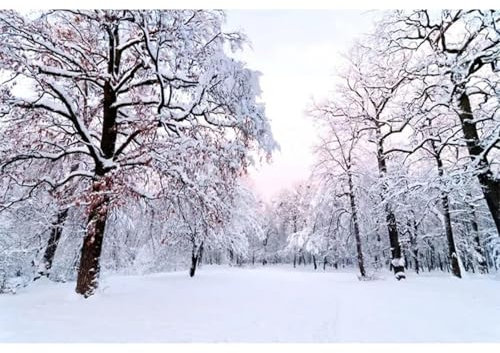 WEIMEIJIE 3D-Wandbild-Tapete, schöne Winter-Schnee-Szene, Wandbild, Wohnzimmer, Schlafzimmer, TV-Hintergrund, Wand, modern