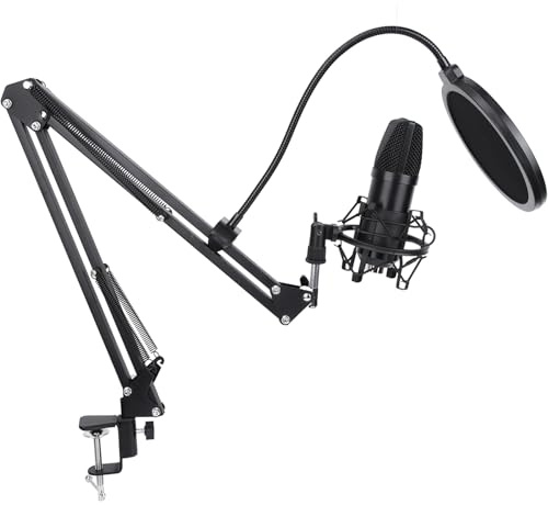 Bnineteenteam USB Condenser Microphone Kit, High-Fidelity Quality, Adjustable Arm Stand, 96kHz Cardioid Mic for Podcasting and Streaming