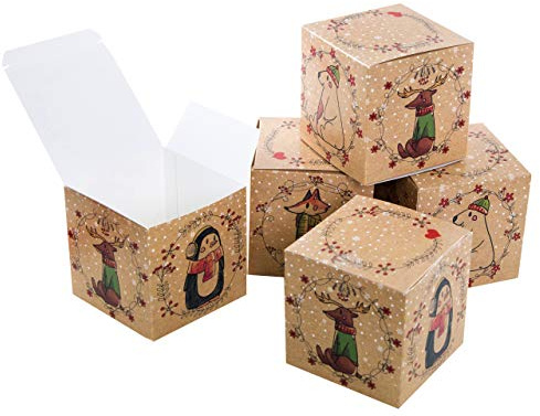 Logbuch-Verlag 10 kleine Schachteln Weihnachten Tiere Geschenkschachtel 10 x 10 cm mini Verpackung Fuchs Rentier Eisbär Pinguin Weihnachtsschachtel