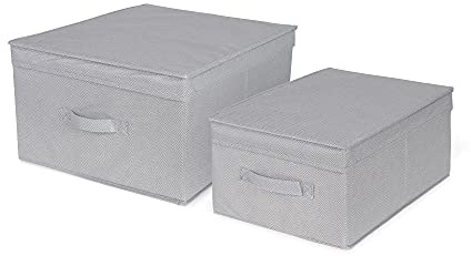 Compactor - Set Di 2 Scatole Pieghevoli Con Coperchio, Polipropilene Non Tessuto e Cartone, Large 40 x 50 x 25 cm, Small 30 x 43 x 19 cm, Gamma Boston, Grigio, RAN10445